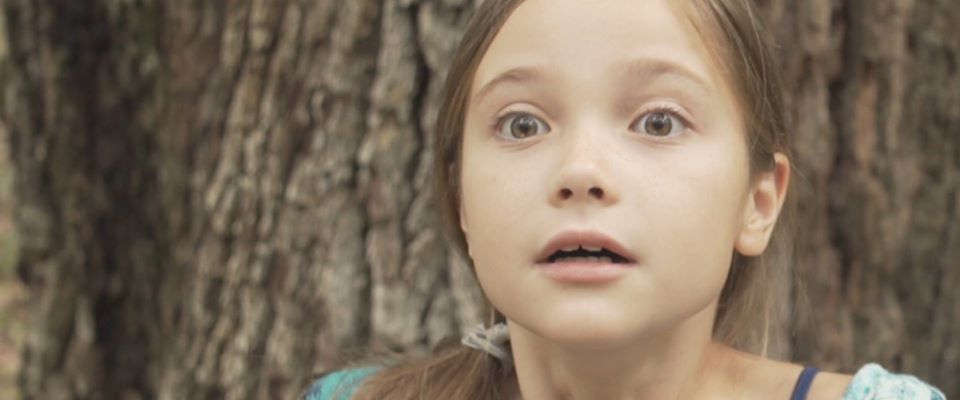 23215740_1521280867951729_7075874220921153991_o